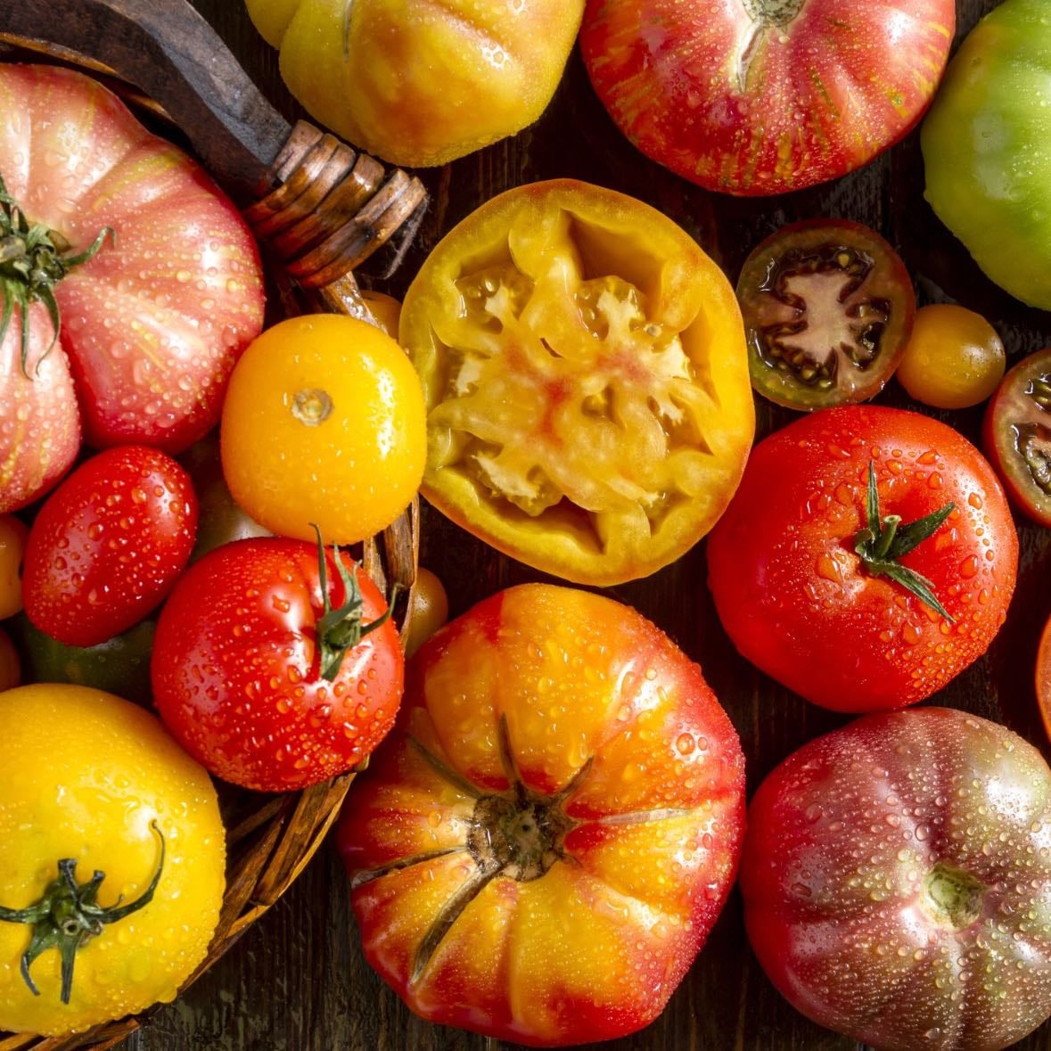 Heirloom Tomatos - Tomato variety