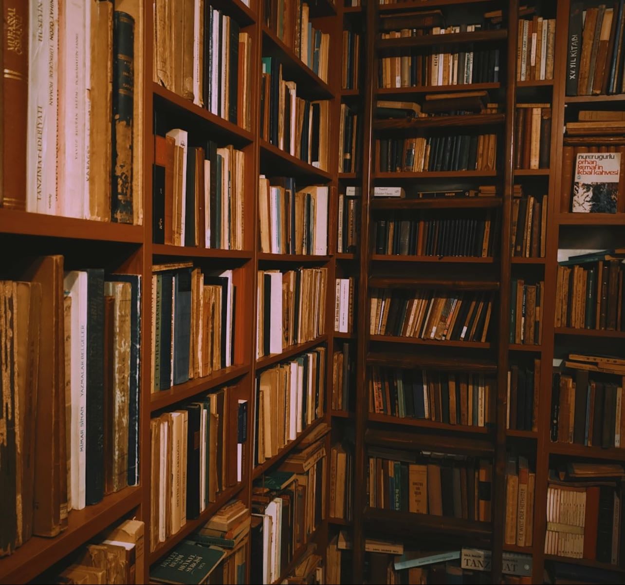 Minha biblioteca - Books hypelist by Sarah Storolli