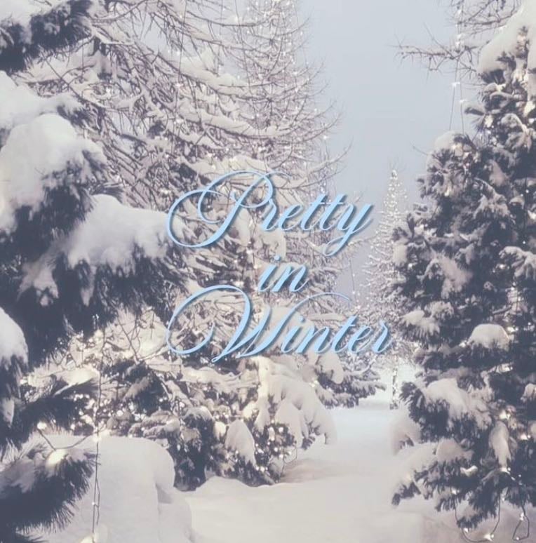 winter ⛸️⋆⁺₊❅.