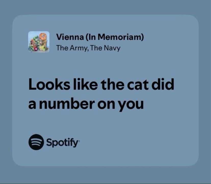 the army, the navy - looks like the cat did a number on you.