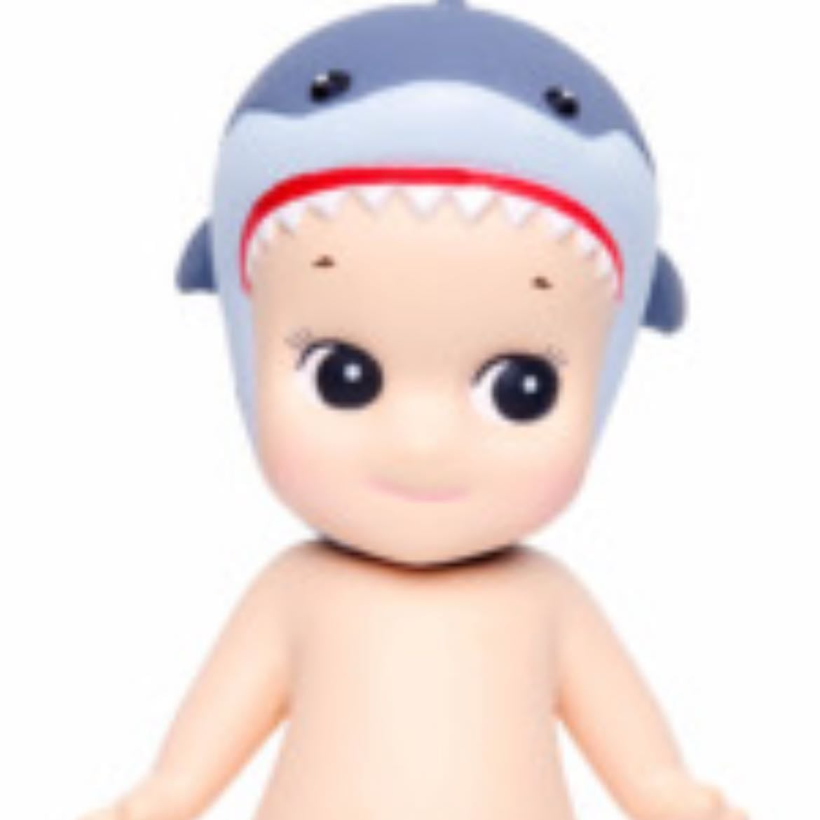 shark