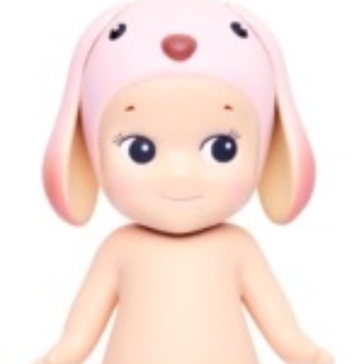 lop ear rabbit