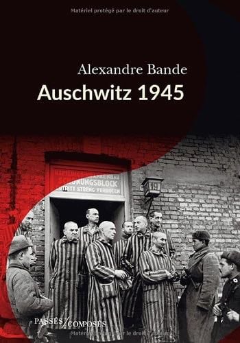 Auschwitz 1945 - Alexandre Bande · 2025