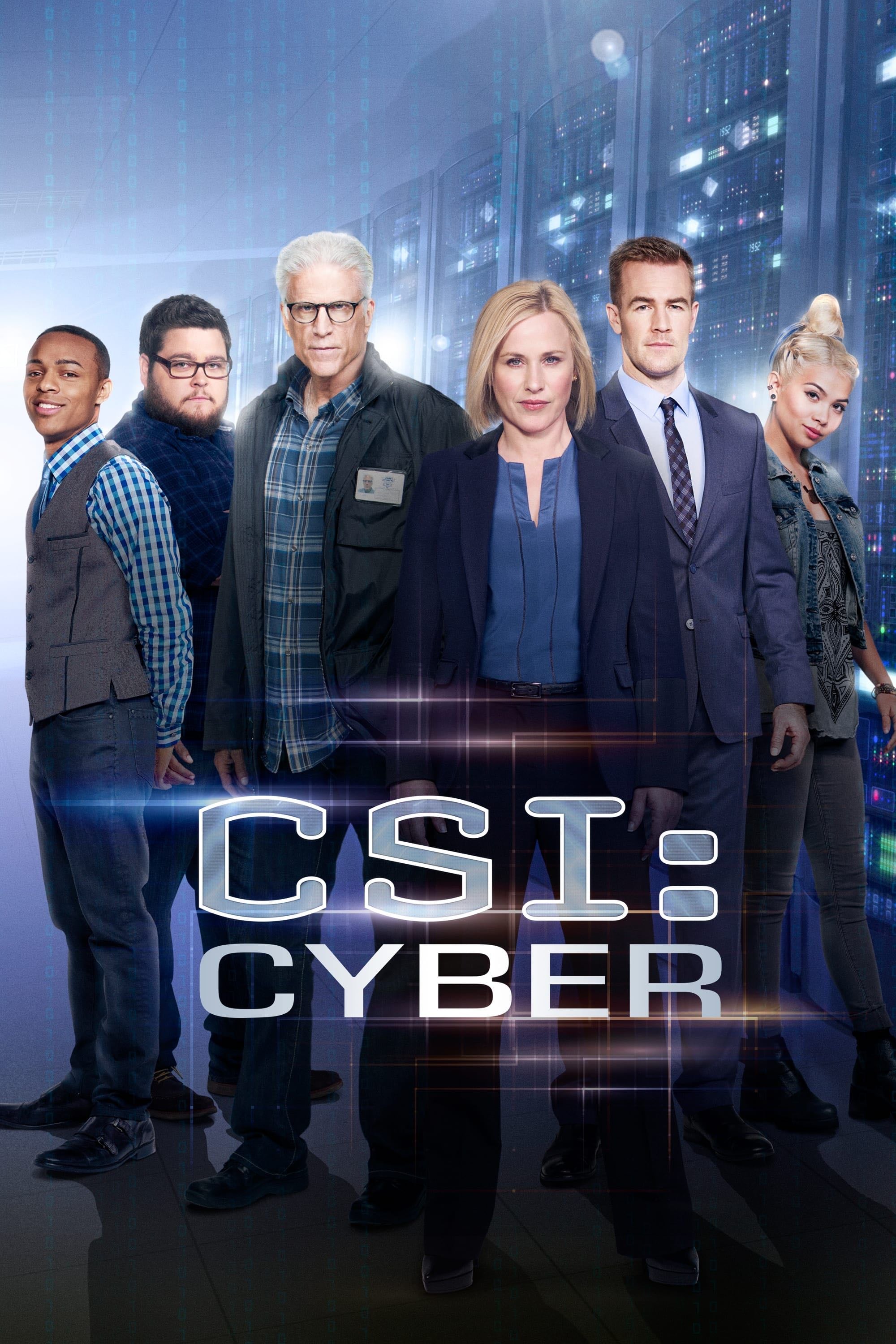 CSI: Cyber - Carol Mendelsohn, Anthony E. Zuiker, Ann Donahue · 2015