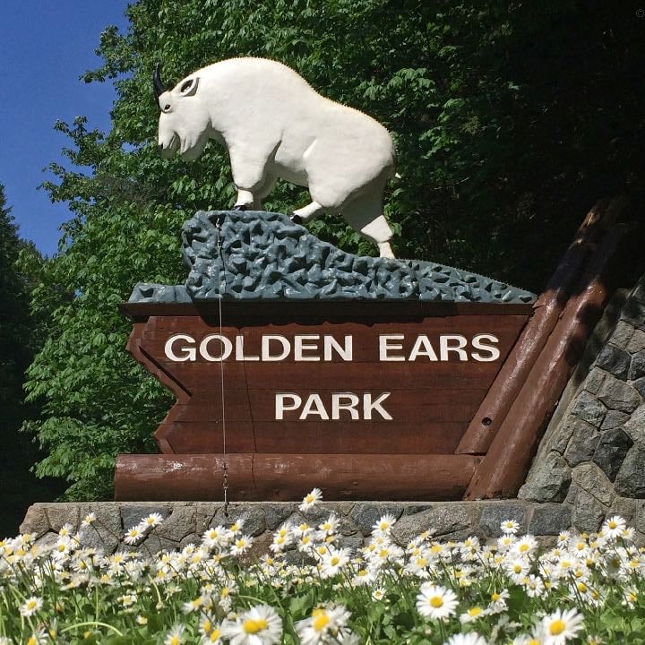 Golden Ears Park