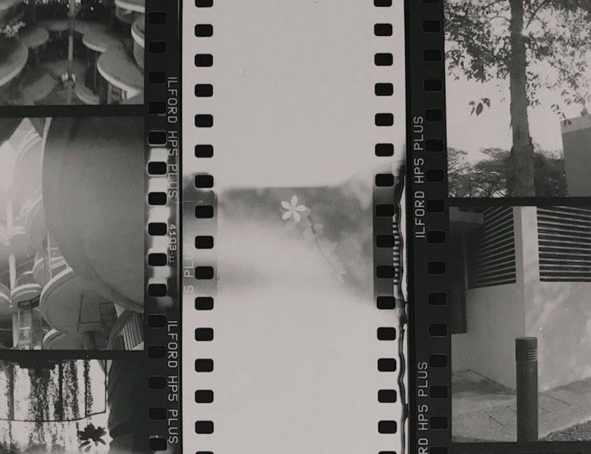 Cine - Movies hypelist by Salome Daza Fox