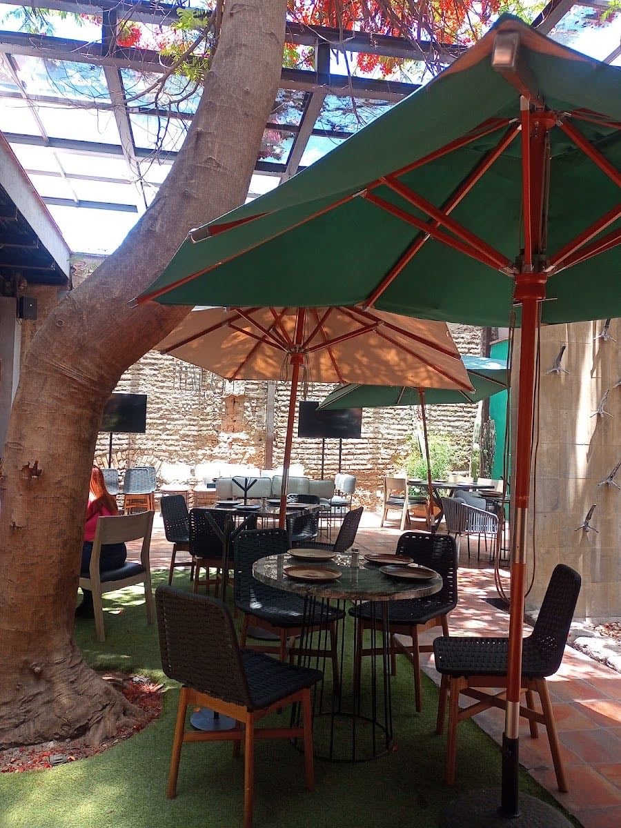 Agave Restaurante & Bar