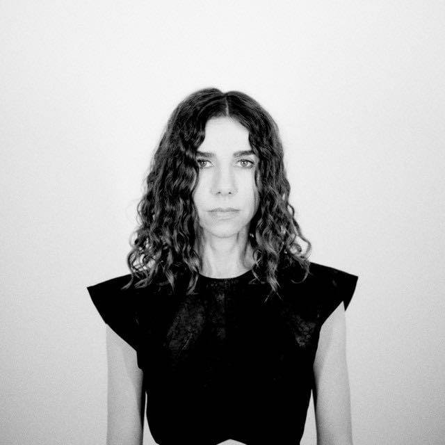 PJ Harvey - Artist