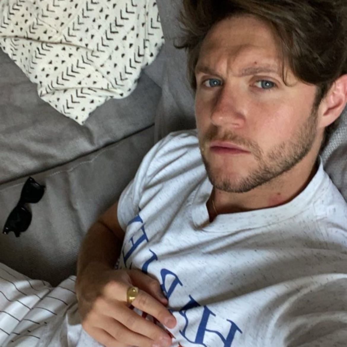 π₯ - lockdown niall