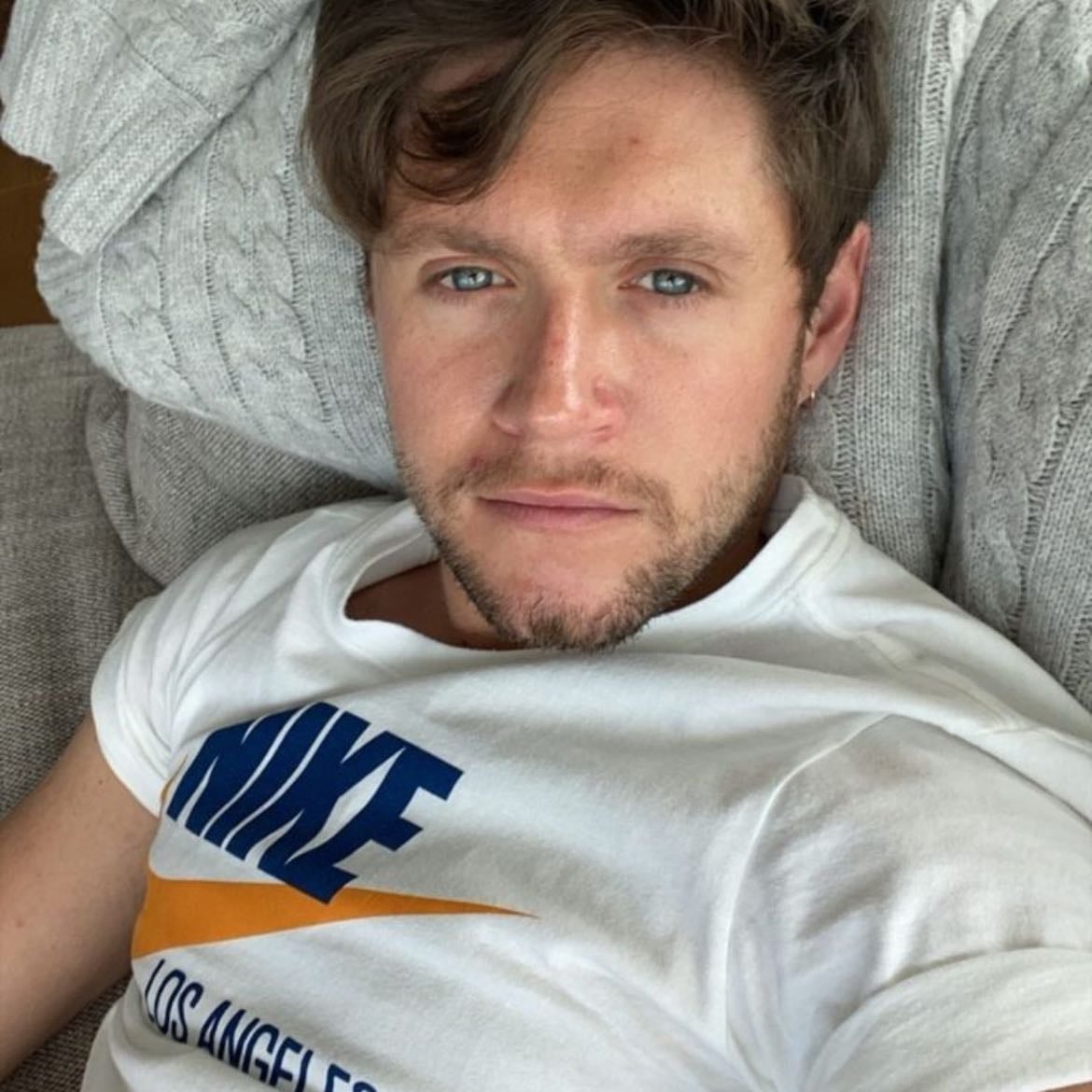 quarantine niall - no one talk about thiss