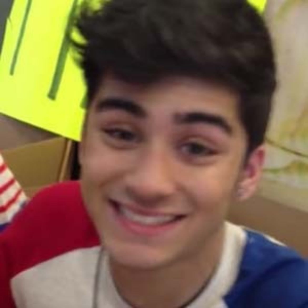 fetus zayn