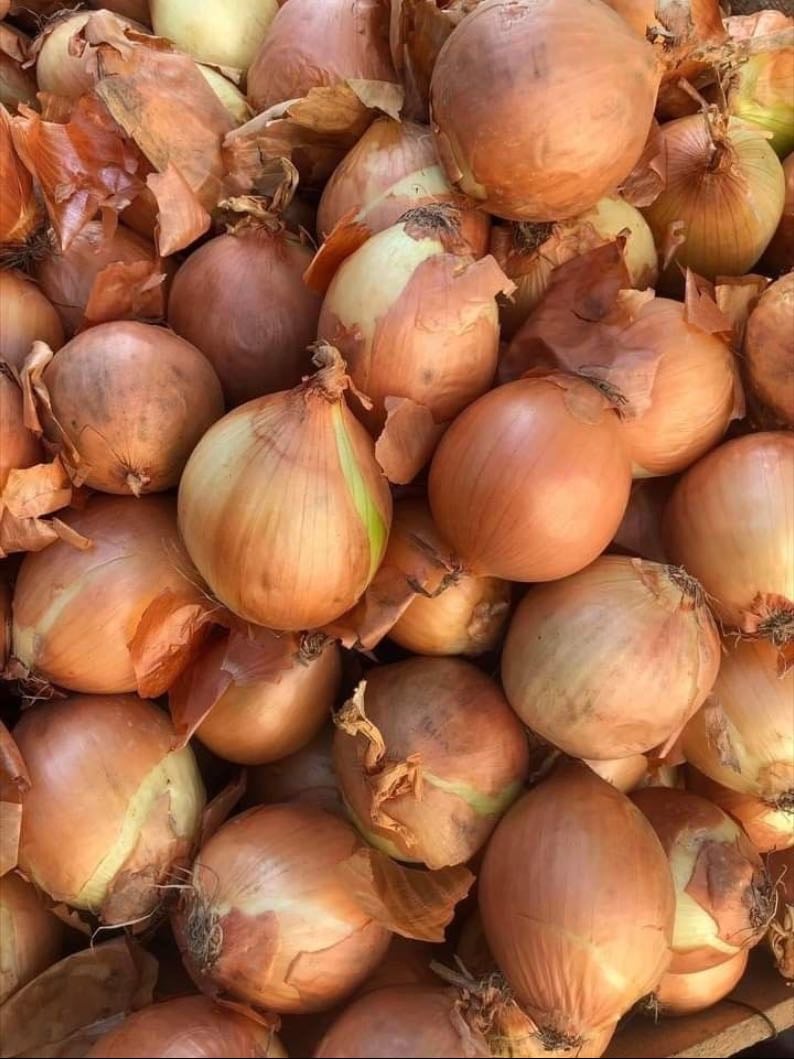 onion