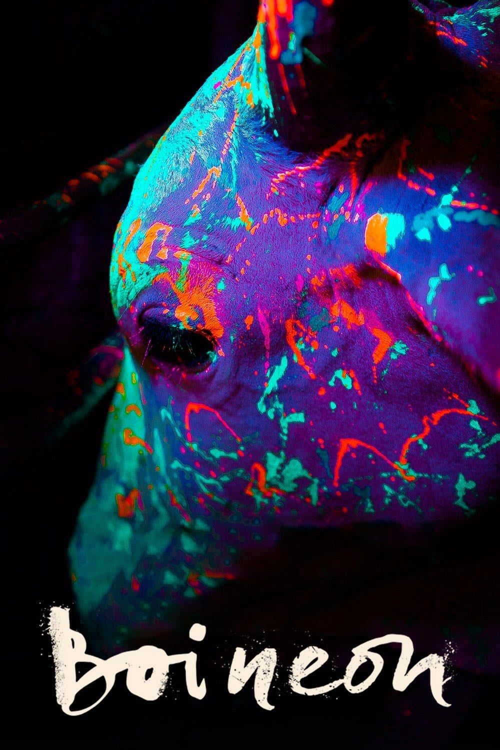 Boi Neon - Gabriel Mascaro · 2016