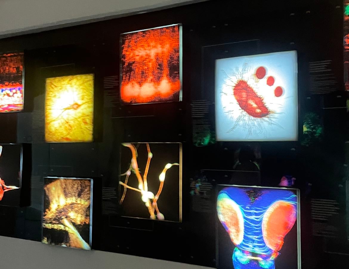 Neurociencia - Books hypelist by Arantza Huerta