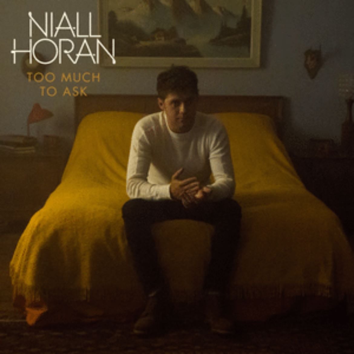 Too Much To Ask - Song · Niall Horan
