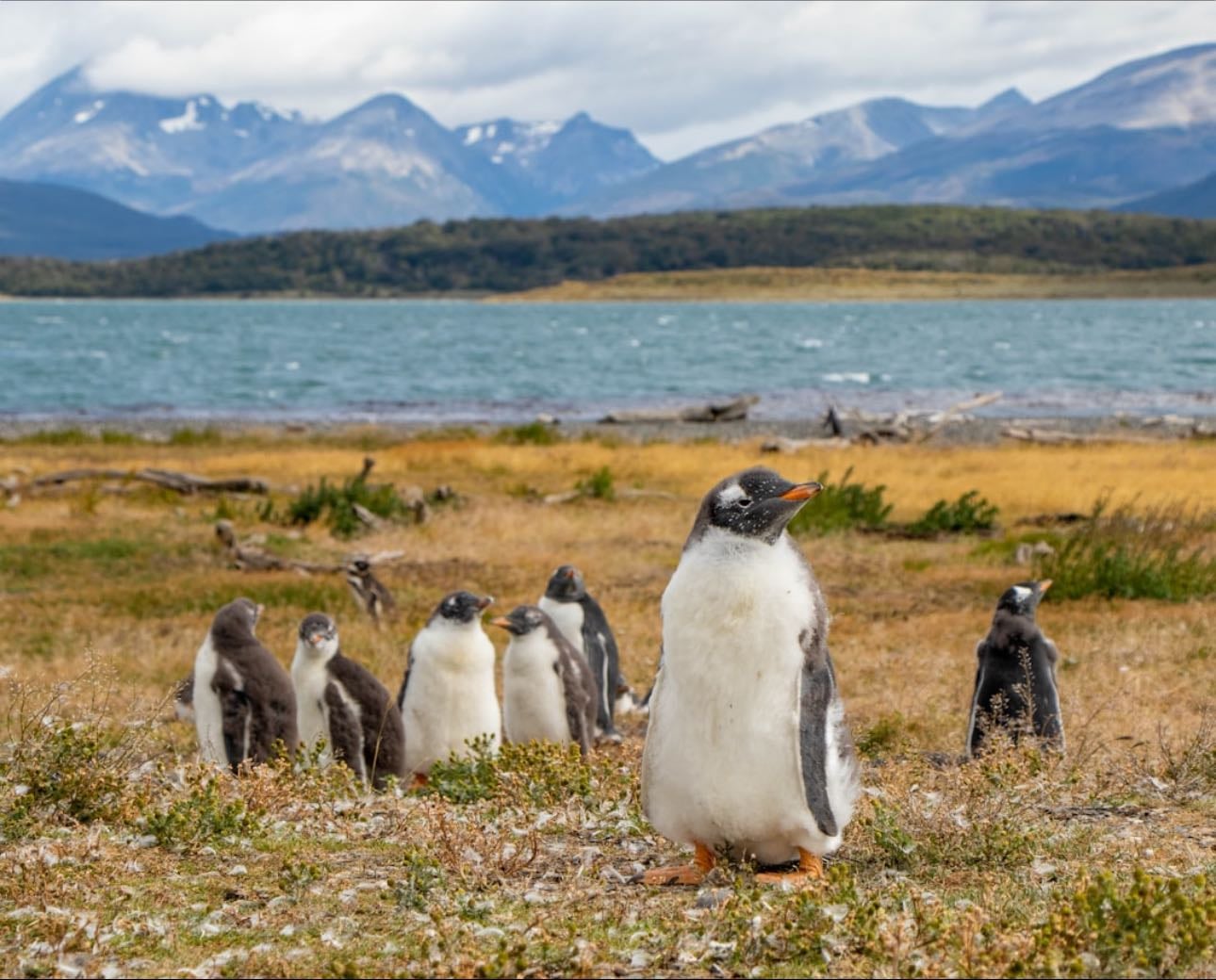 Ushuaia - Argentine
