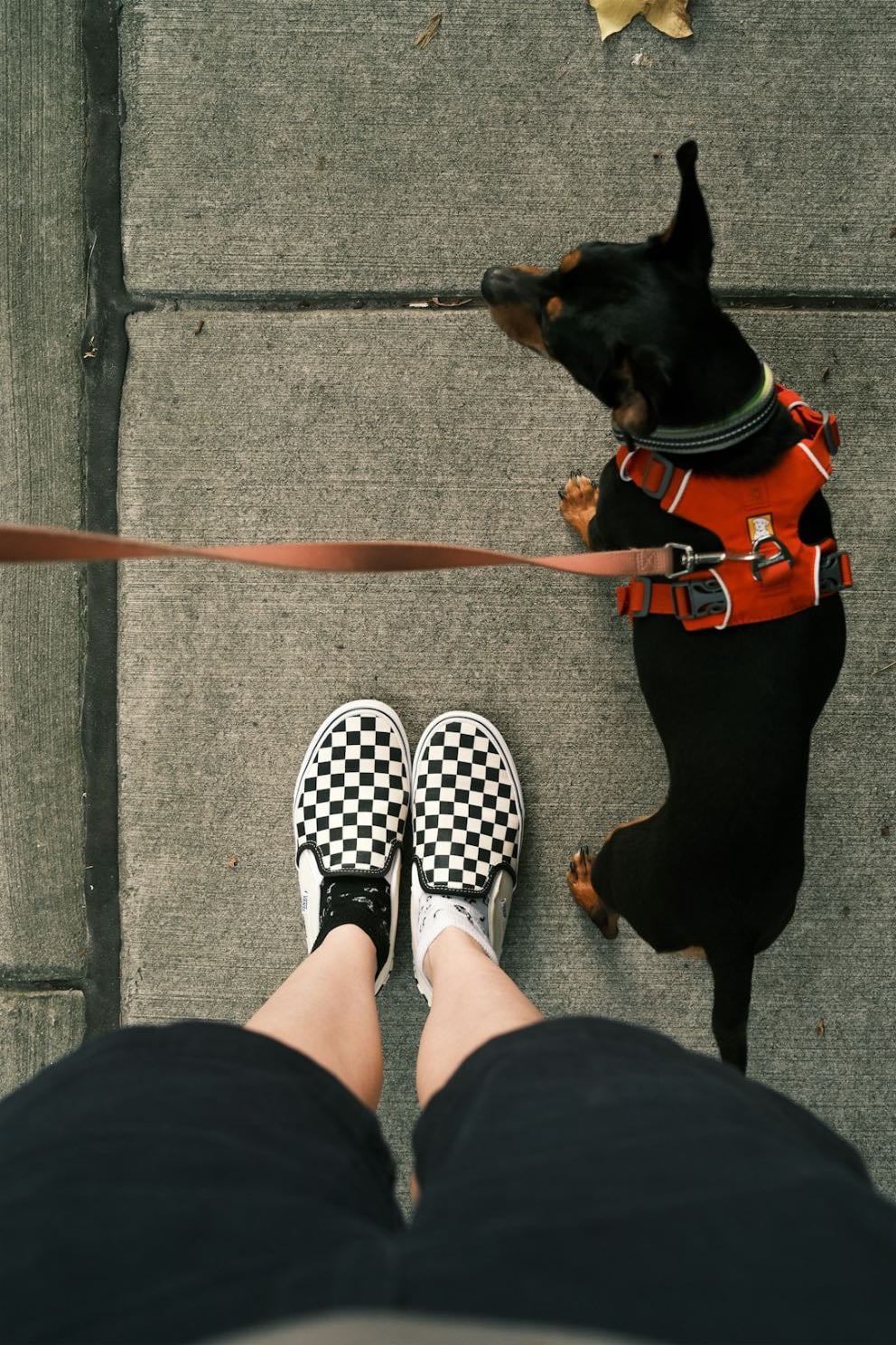 small walk
