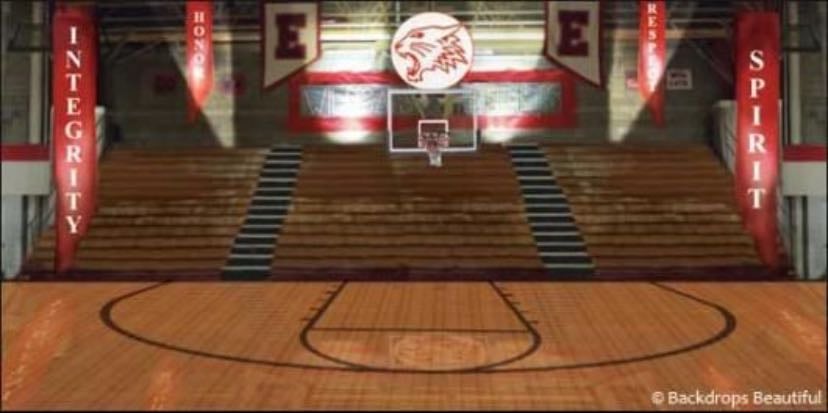 hsm court basketball
