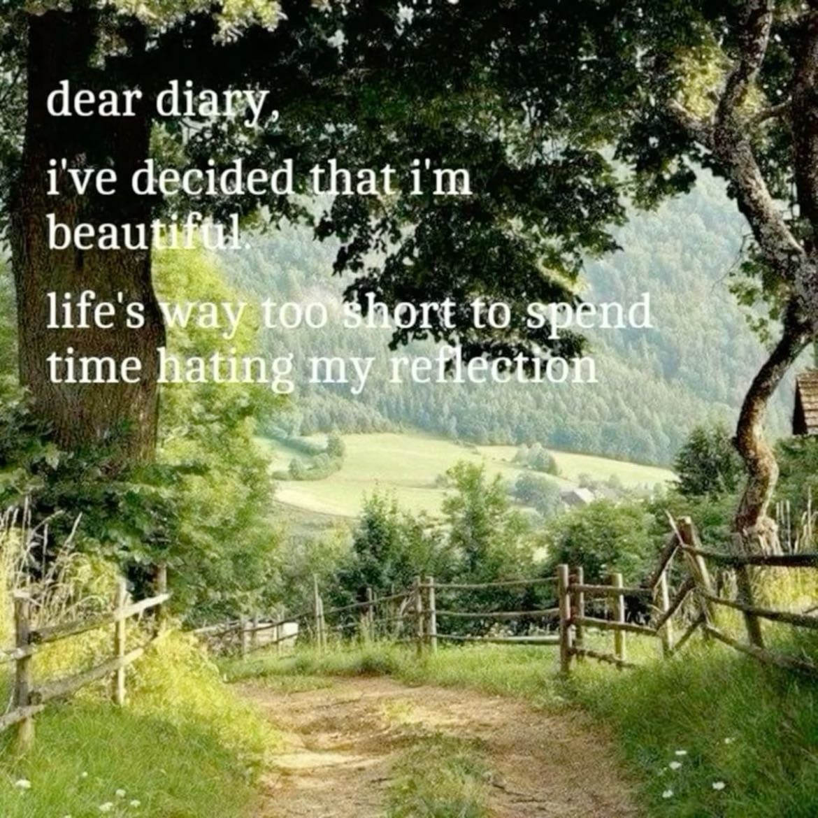 “Life’s To Short To Spend Time Hating Your Reflection”