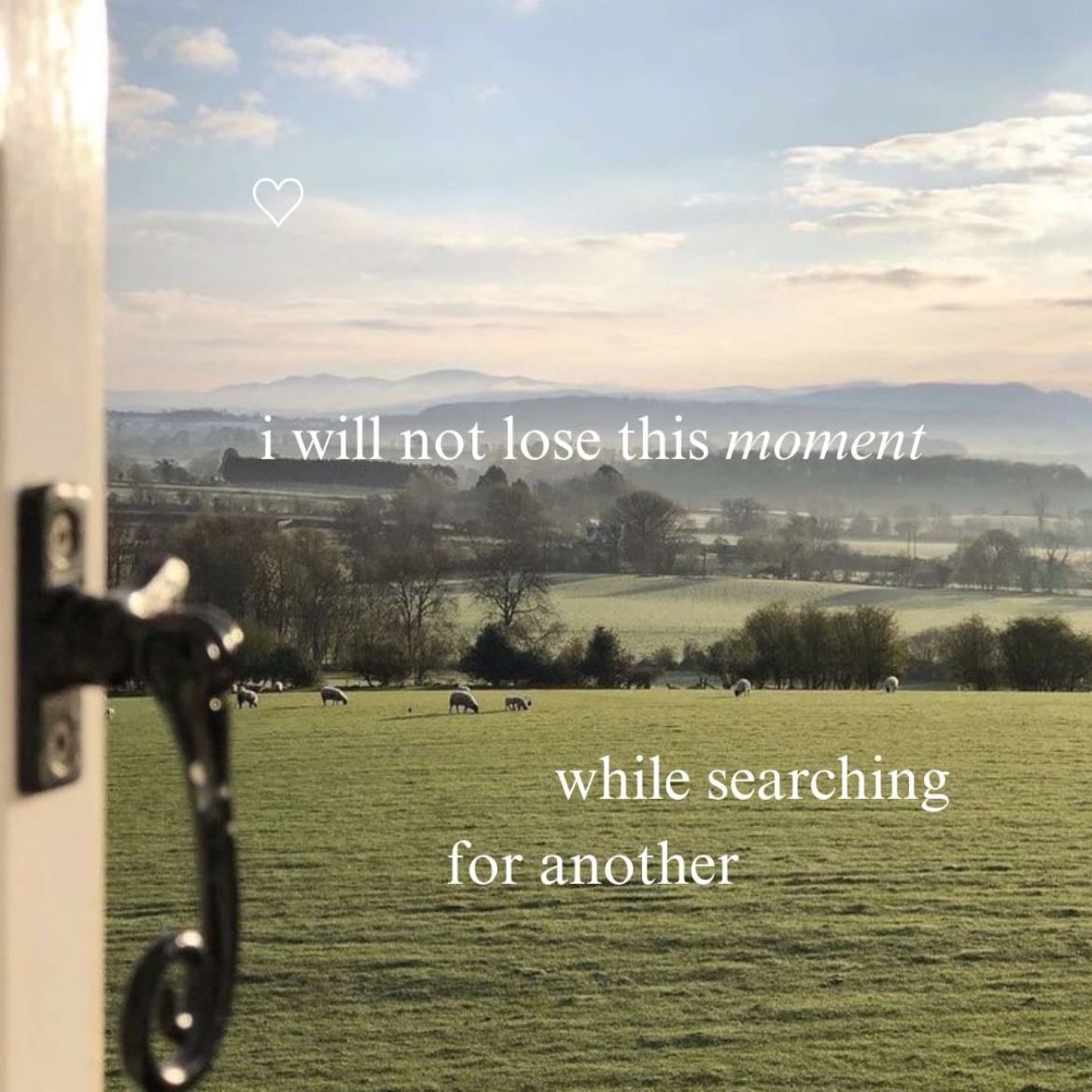 “I Will Not Lose This Moment, Searching For Another”
