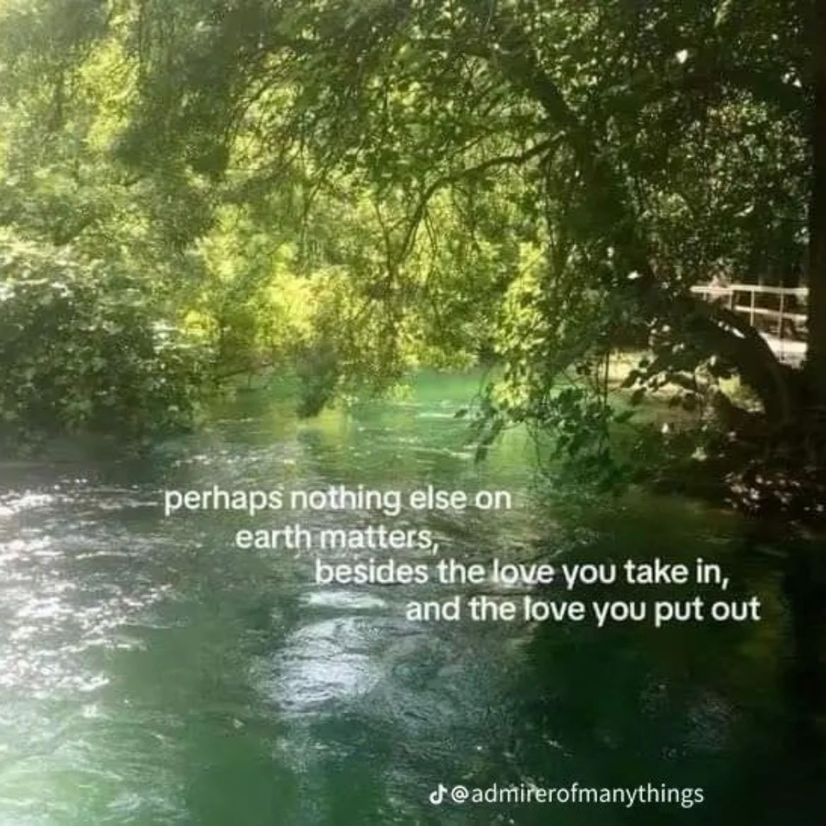 “Perhaps Nothing Else Matters On Earth, Other Than The Love You Recieve, And The Love You Give”