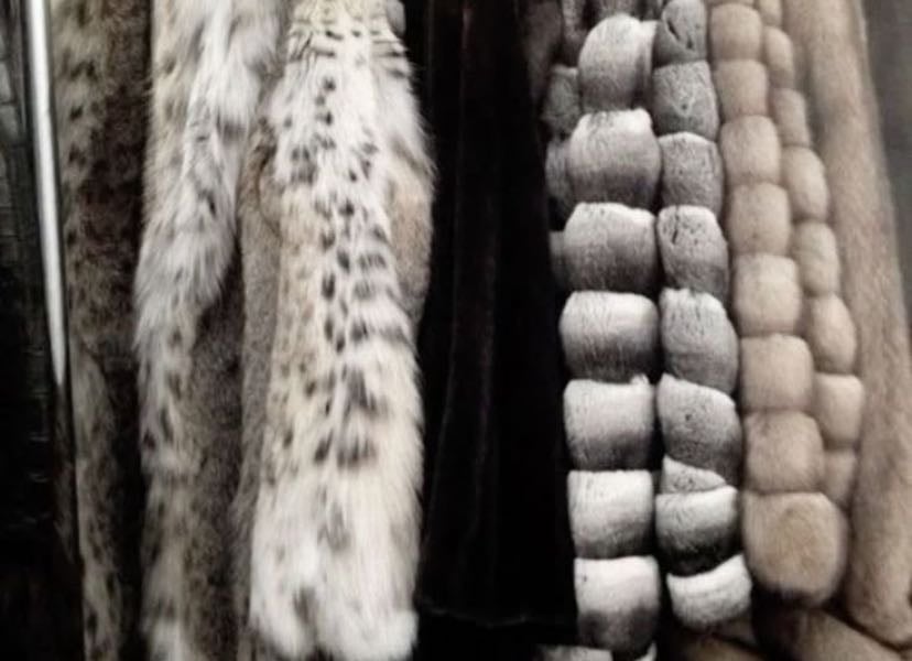 Outfits