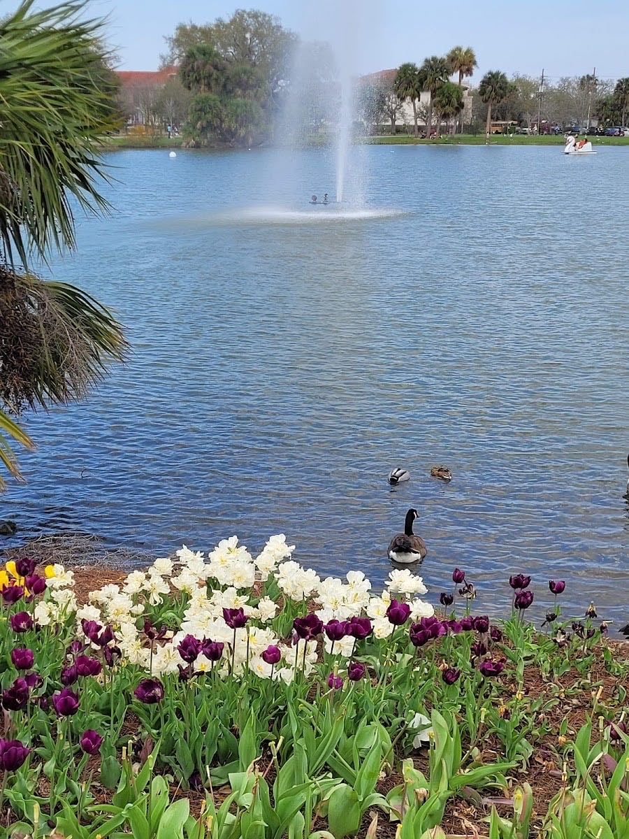 City Park