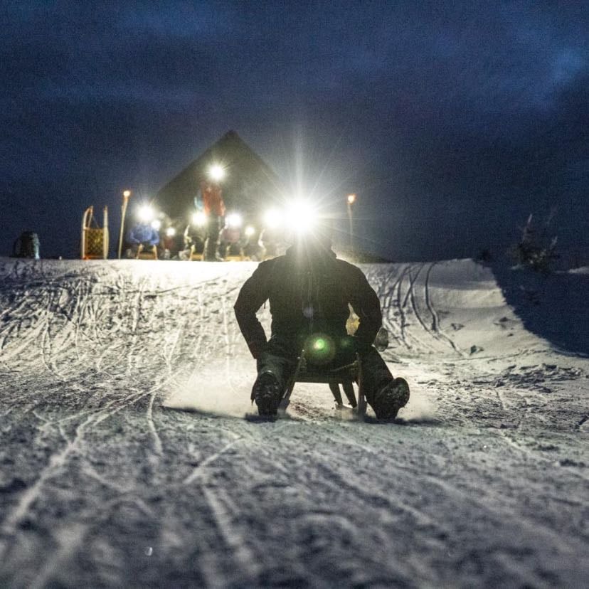 Luge
