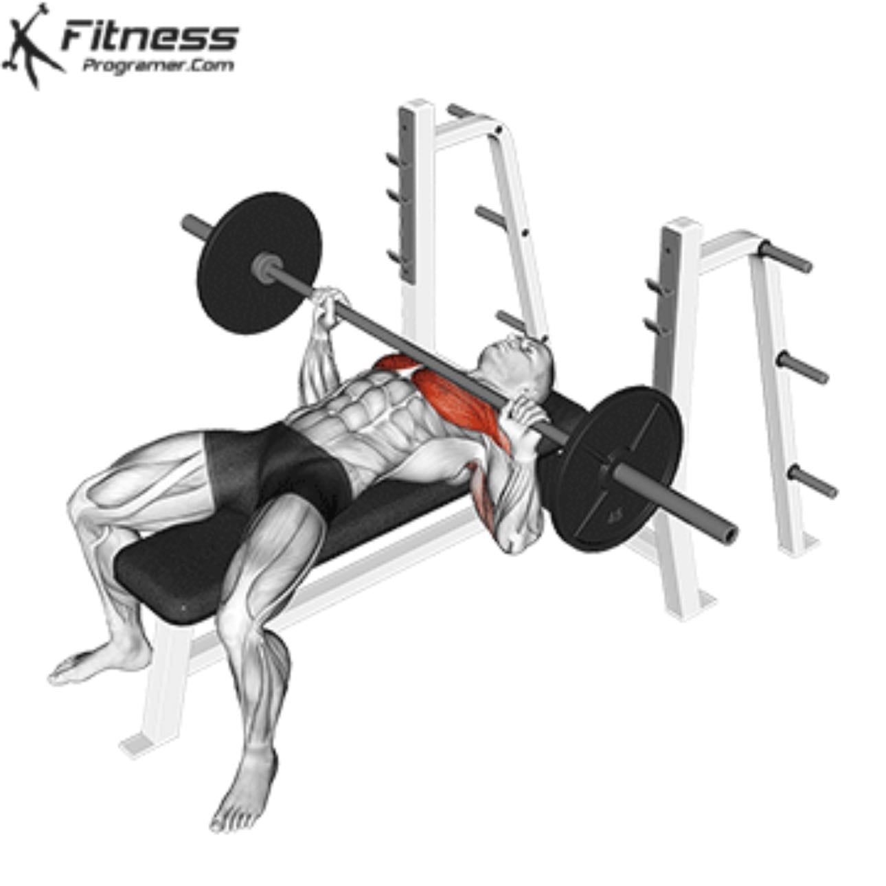 Bench press - Chest- pecho.