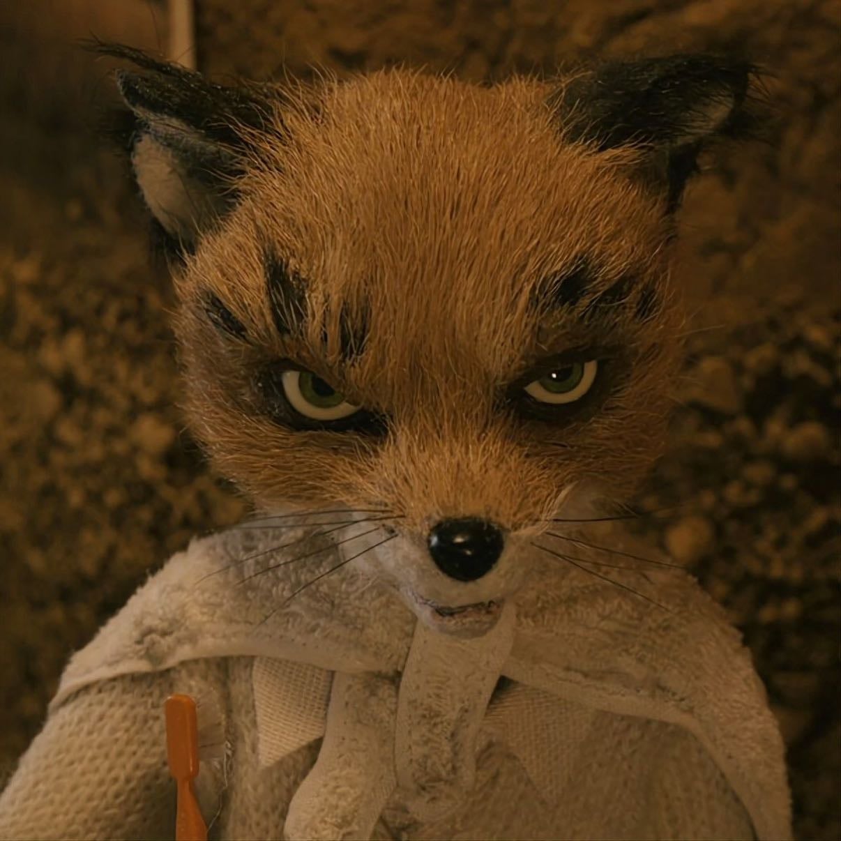 ash fox