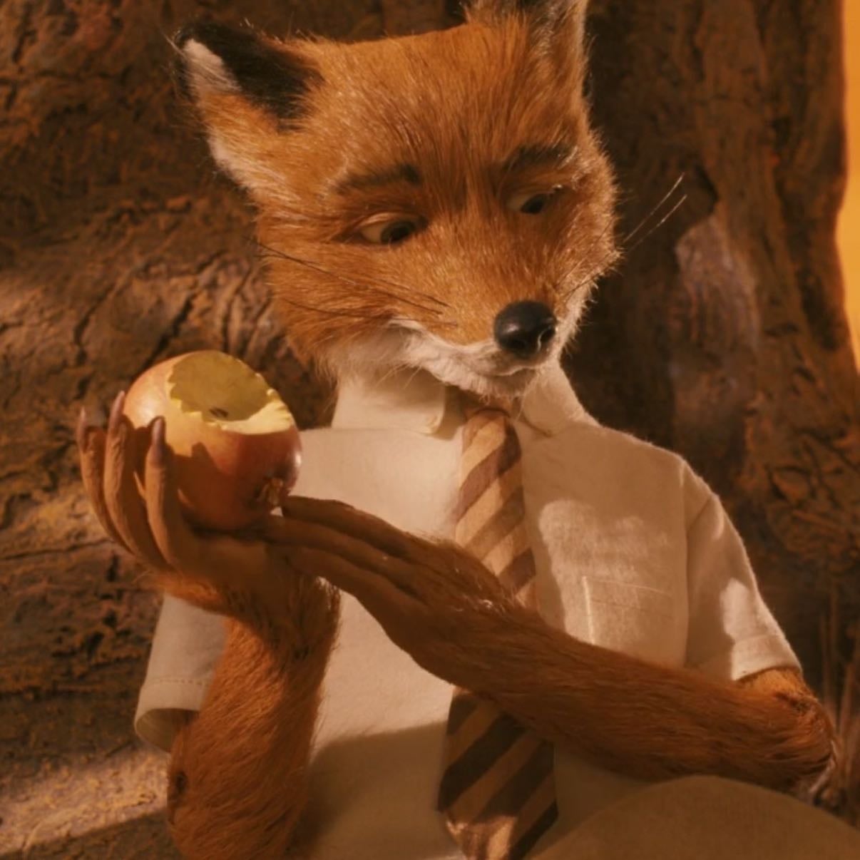 mr fox