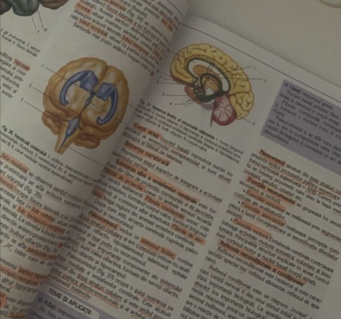 Top libros de medicina😀🔫