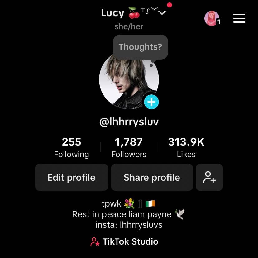 TikTok - lhhrryuv