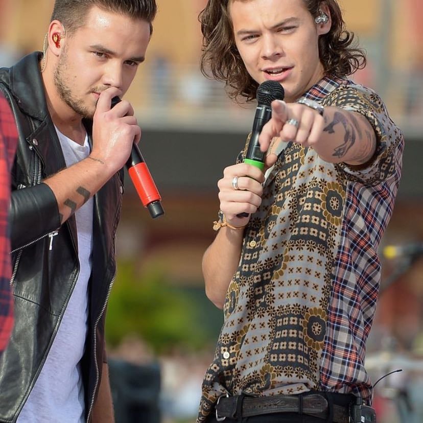 Harry and Liam