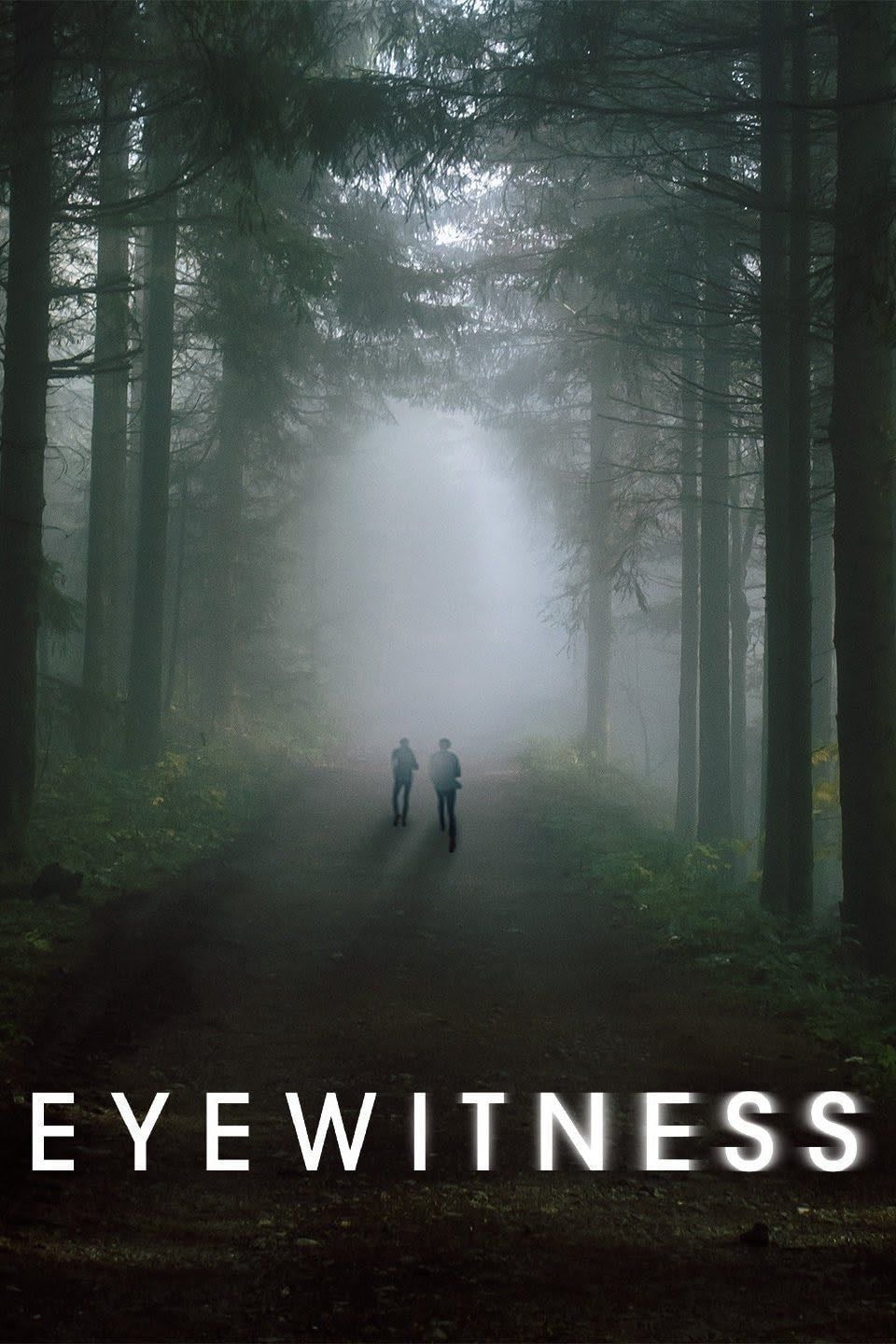 Eyewitness - Adi Hasak · 2016