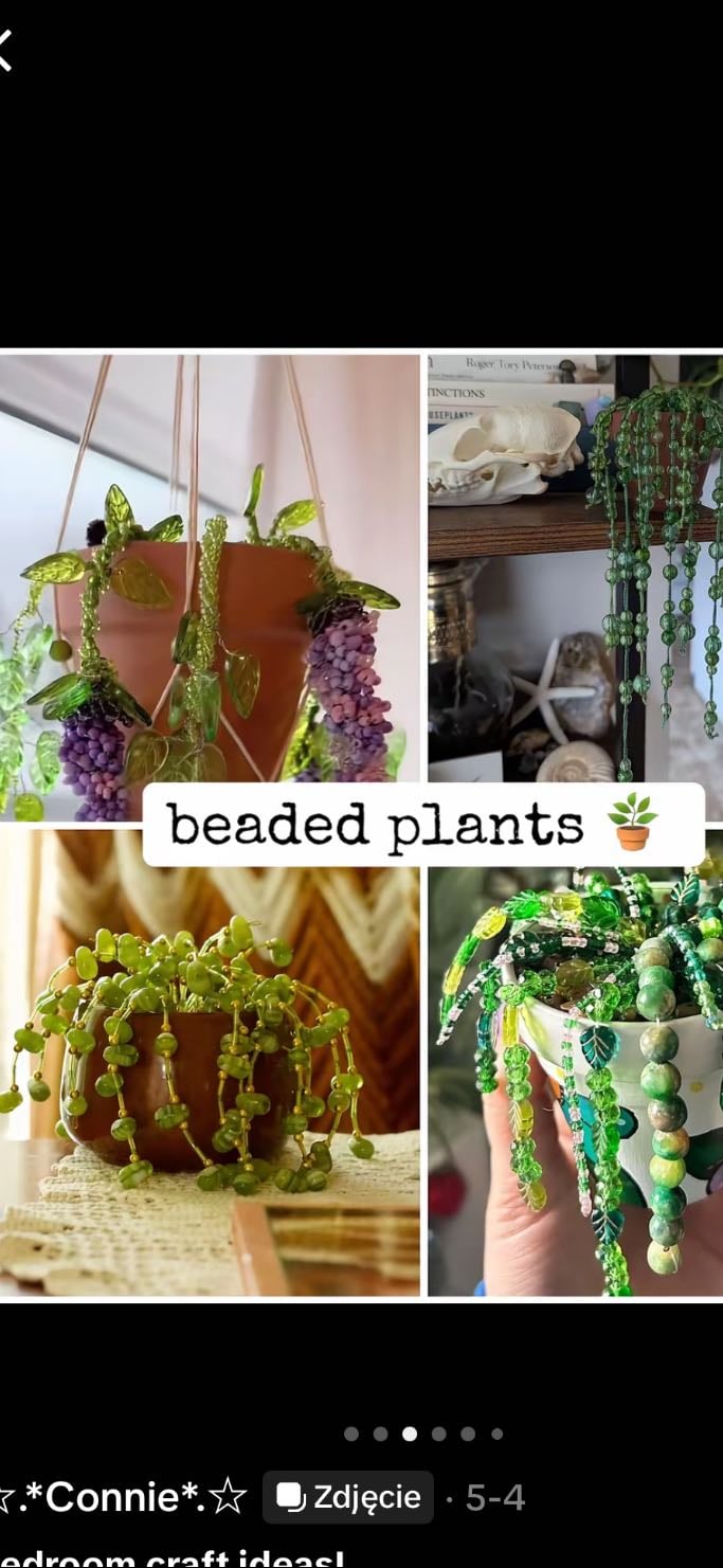beaded plants