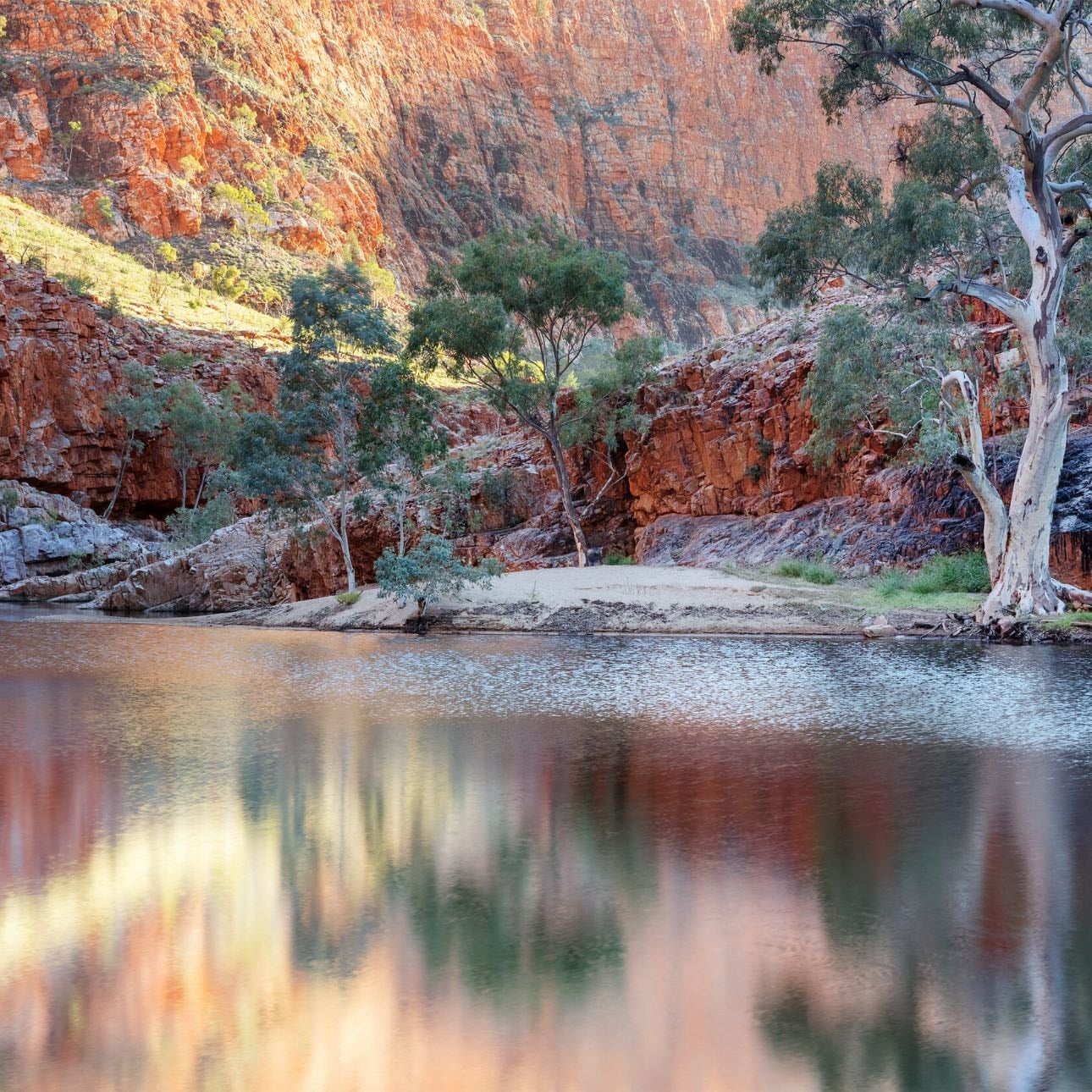 Ormiston Gorge
