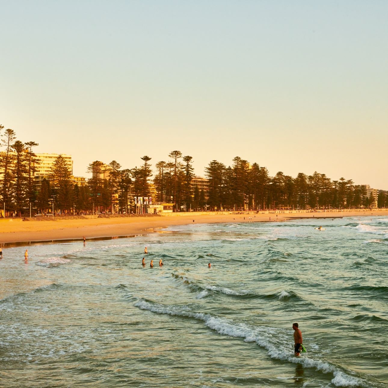 Manly Beach