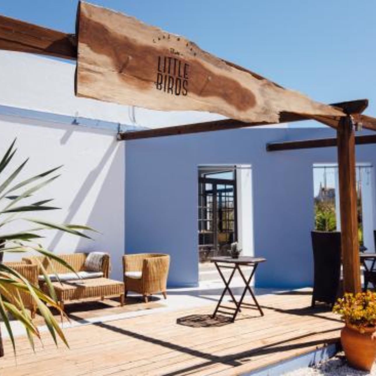 Three Little Birds - Sagres