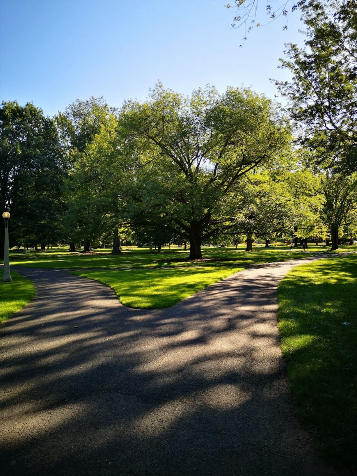 St. James Park