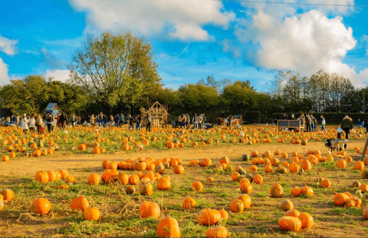 Tulleys Farm