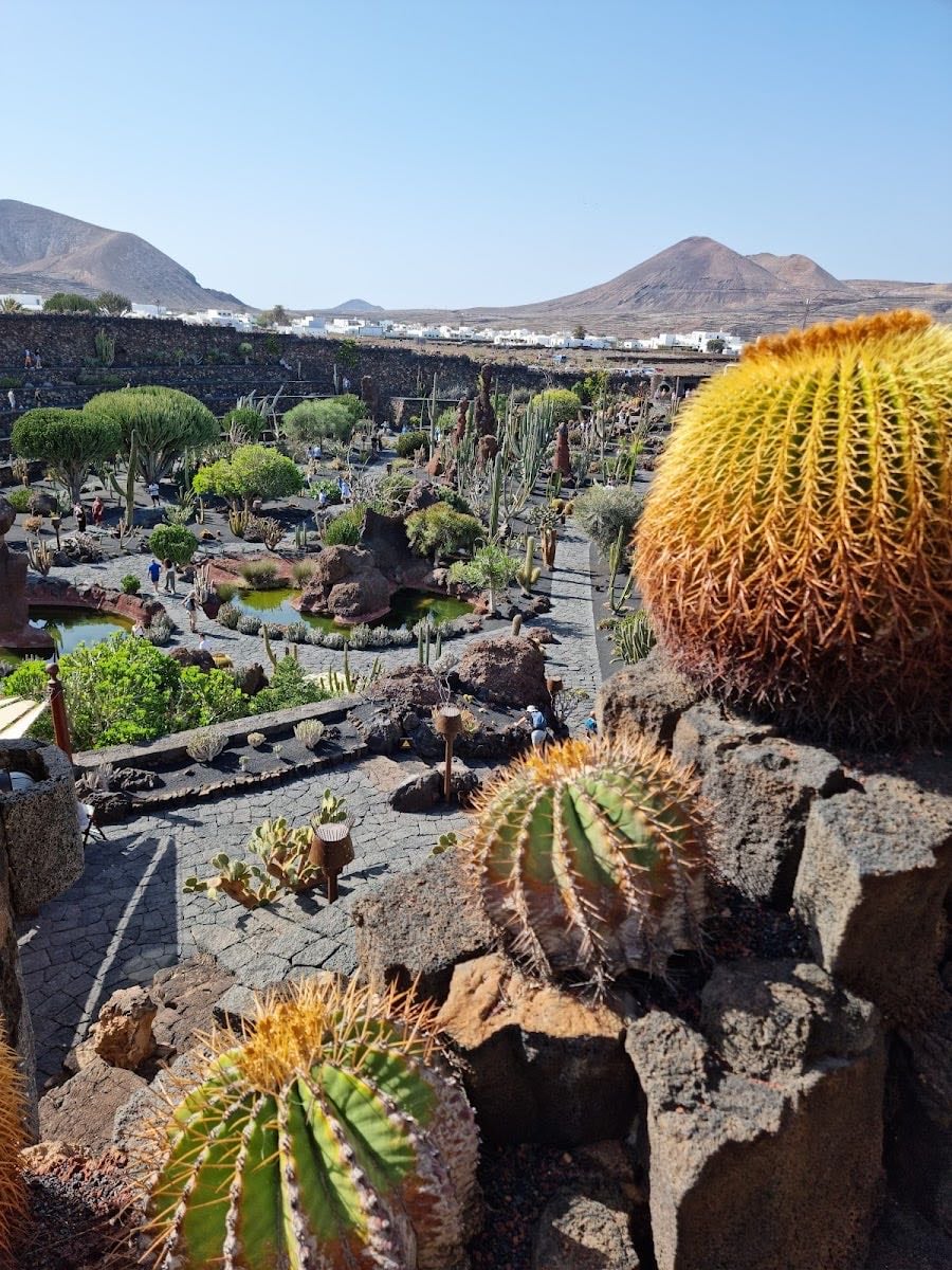 JardĂn de Cactus | CACT Lanzarote