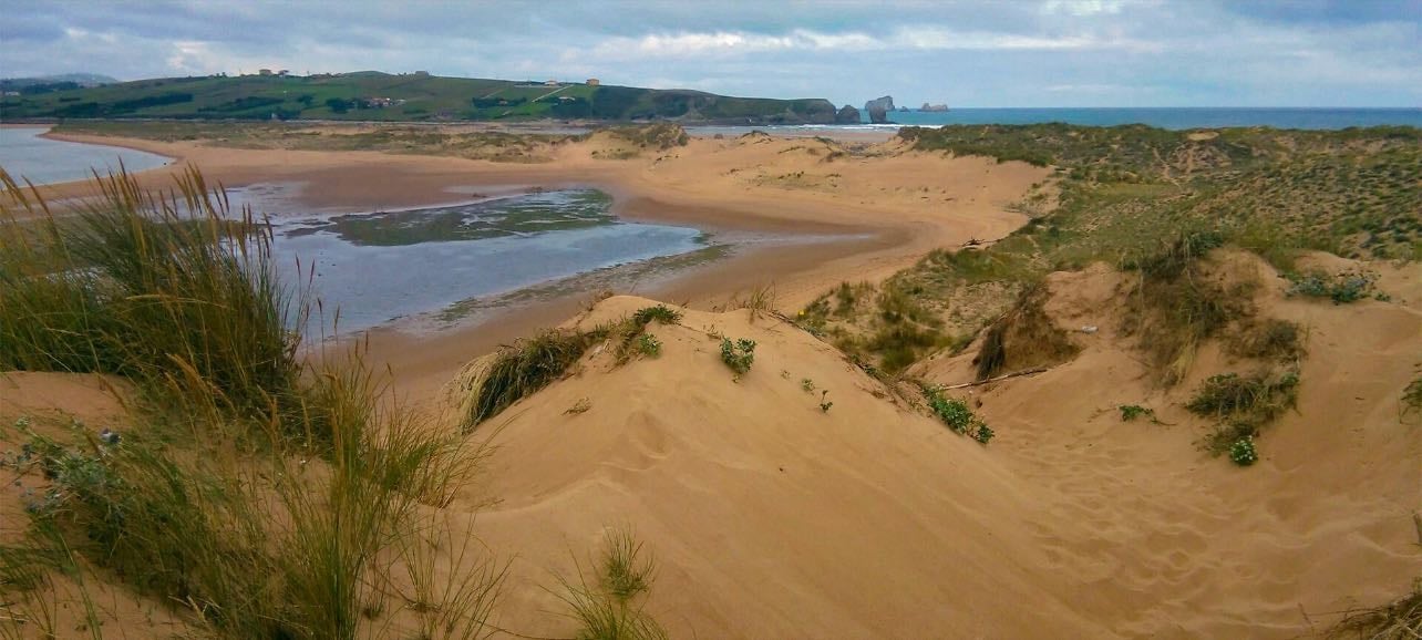 Dunas de Liencres - 馃搷Liencres
