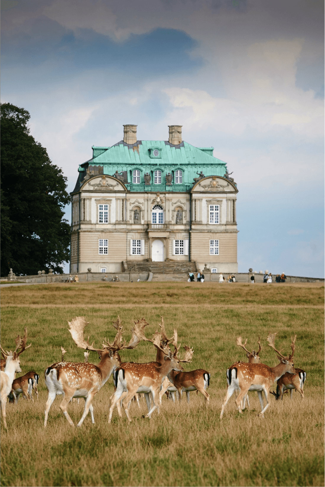 Jægersborg Dyrehave
