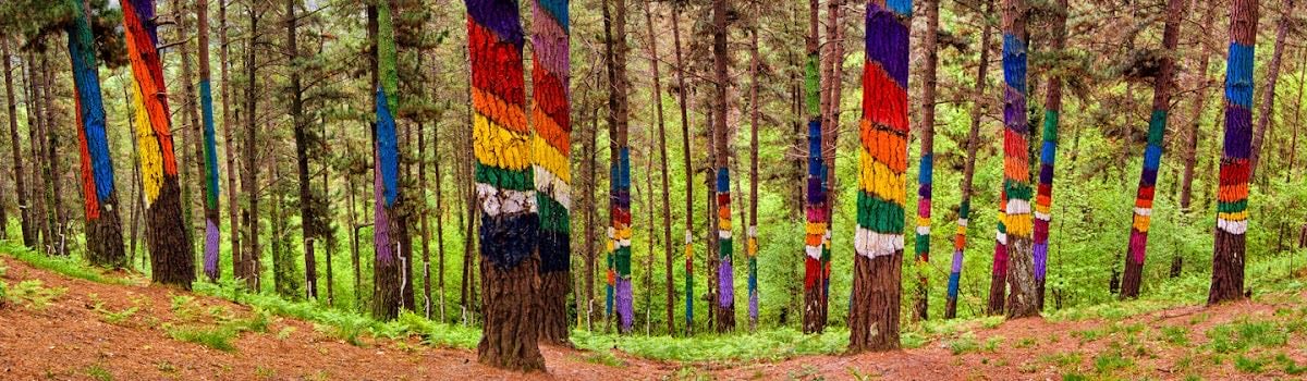 Bosque de -OMA- Basoa
