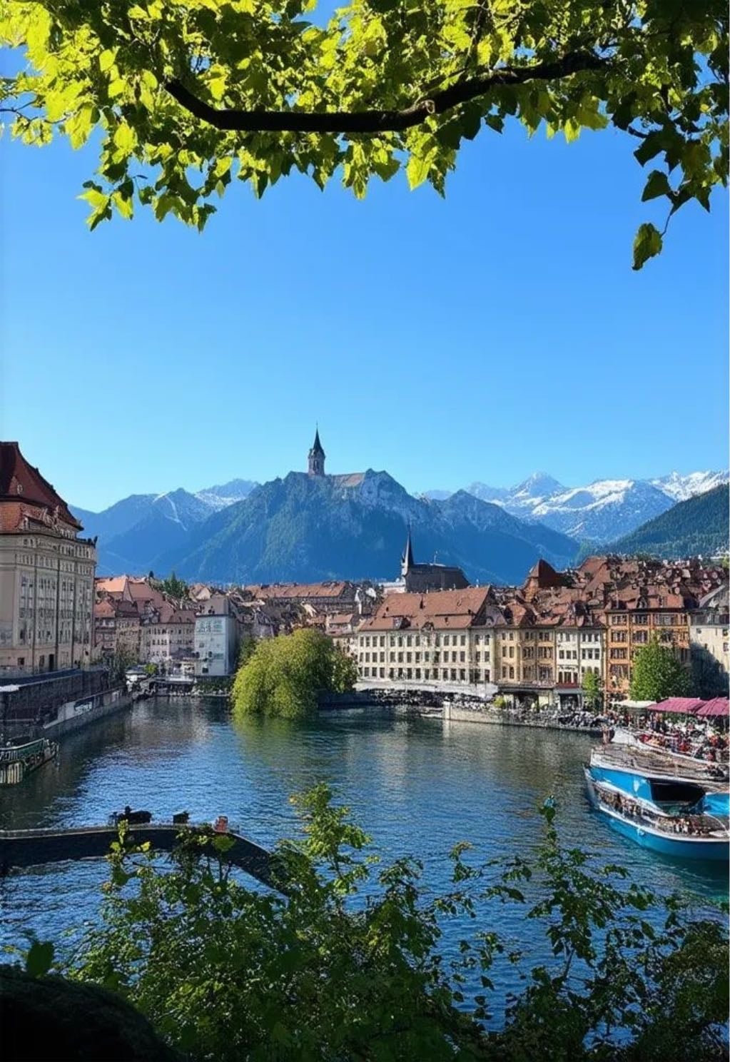 lucerne