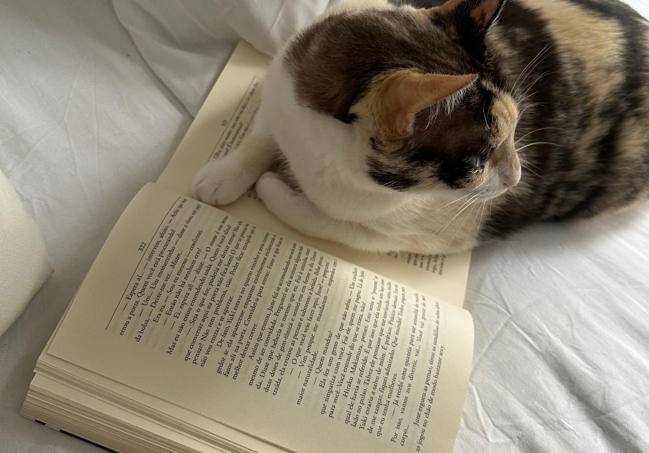 pequenos livros grandes leituras