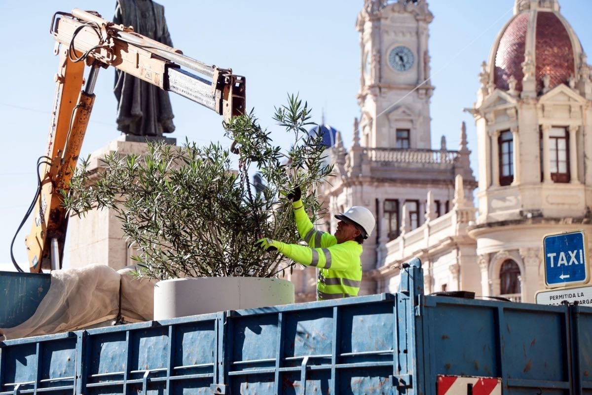 València encerrada en unos maceteros: el símbolo de elegir entre verde o gris - Valencia Plaza