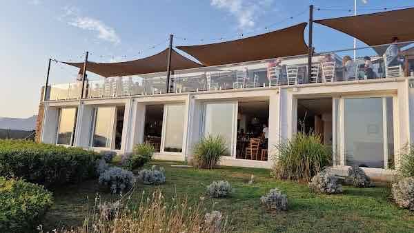 Bambu Menorca