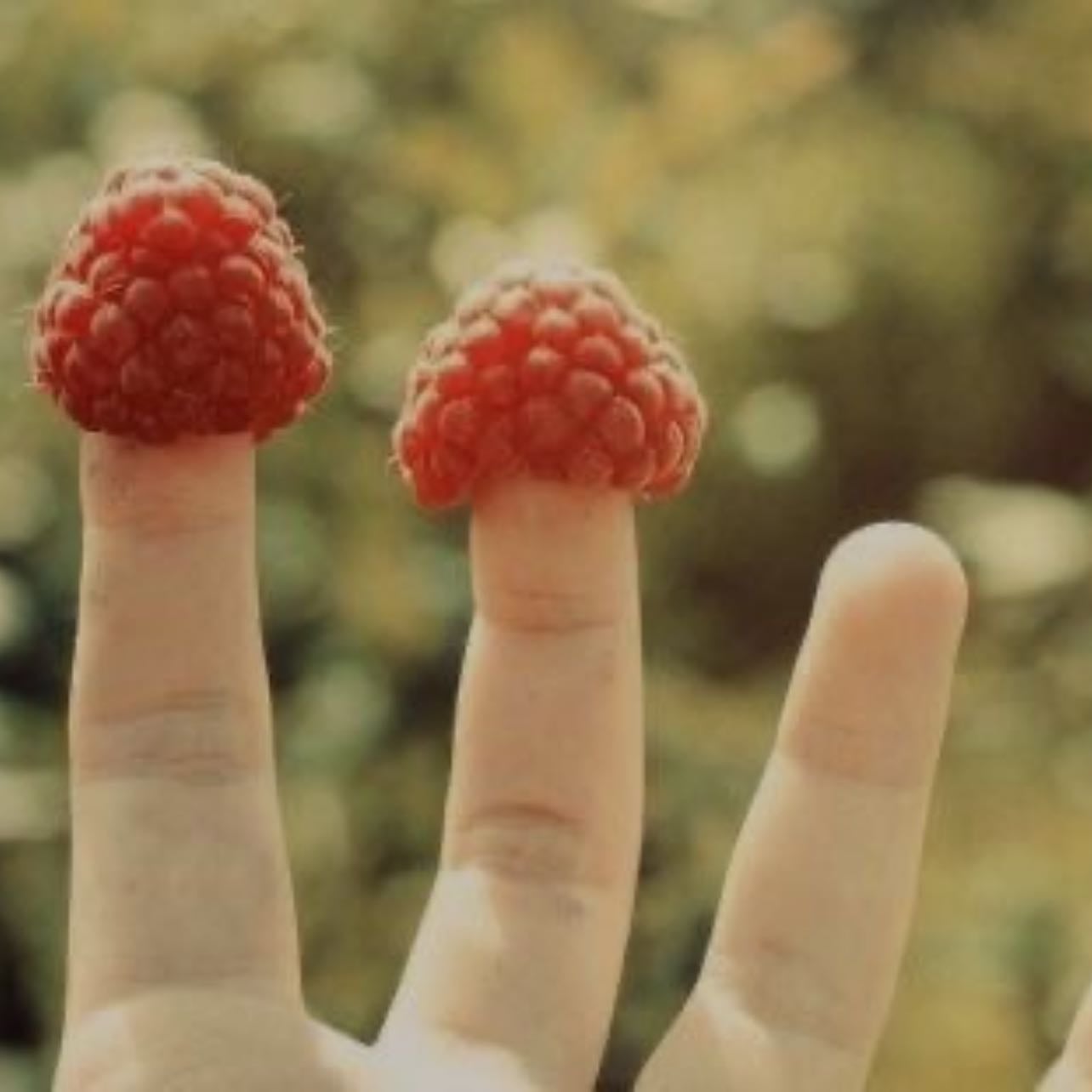 raspberries on fingers